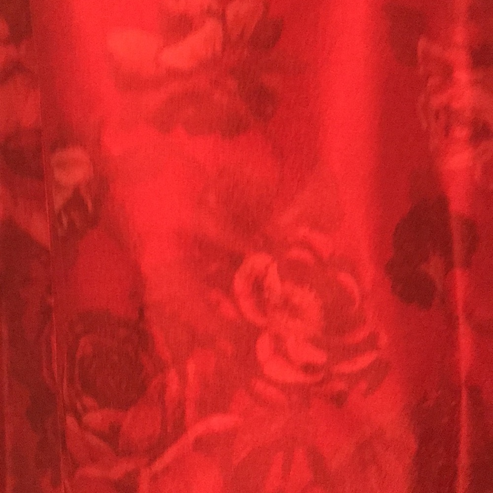 Dana Deatherage - Picture 4 of 13